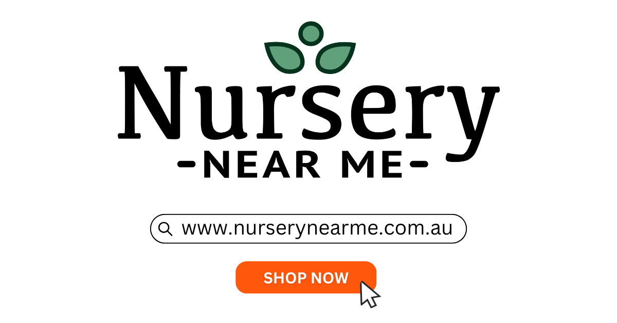 Nursery Near Me | Evergreen Trees, Fast Growing Trees, Privacy Trees